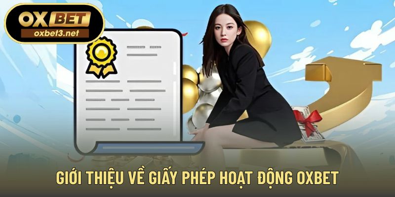Giới thiệu tổng quan về nền tảng pháp lý vận hành