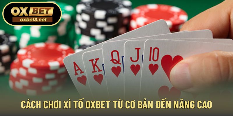 Hướng dẫn tham gia từng bước từ dễ đến chuyên sâu