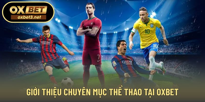 Không gian cá cược thể thao online được xây dựng bài bản